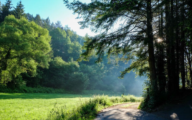 Reinskopf - Photo 39