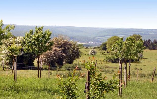 Gîte rural Mamijana - Photo 5